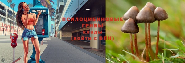а пвп мука Магадан