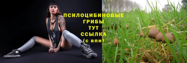 а пвп мука Магадан