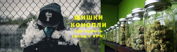 прущая мука Магас
