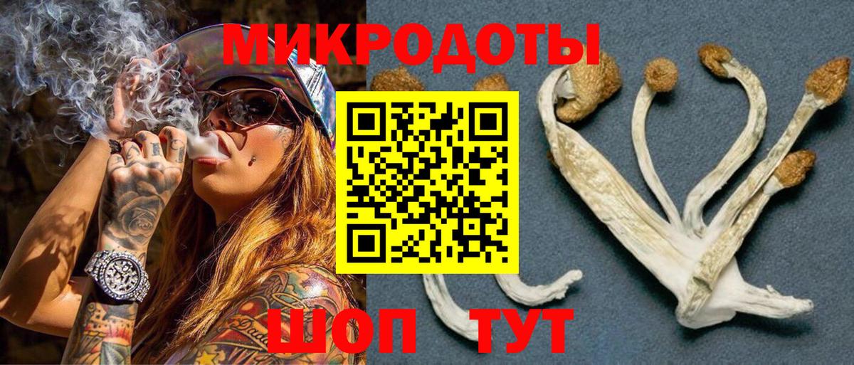 Долгопрудный  Галлюциногенные грибы Cubensis  Вход с VPN 