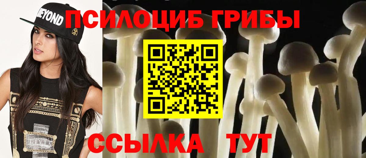 Псилоцибиновые грибы MAGIC MUSHROOMS Долгопрудный