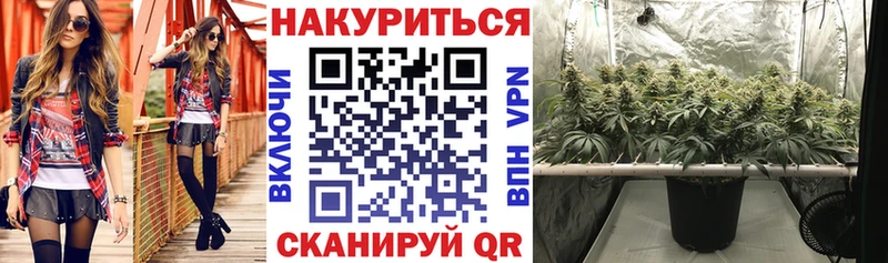 Бошки Шишки Bruce Banner  как найти закладки  мега сайт  Долгопрудный 